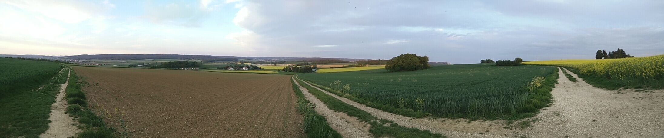A rural landscape with fields, a dirt path, and distant hills.