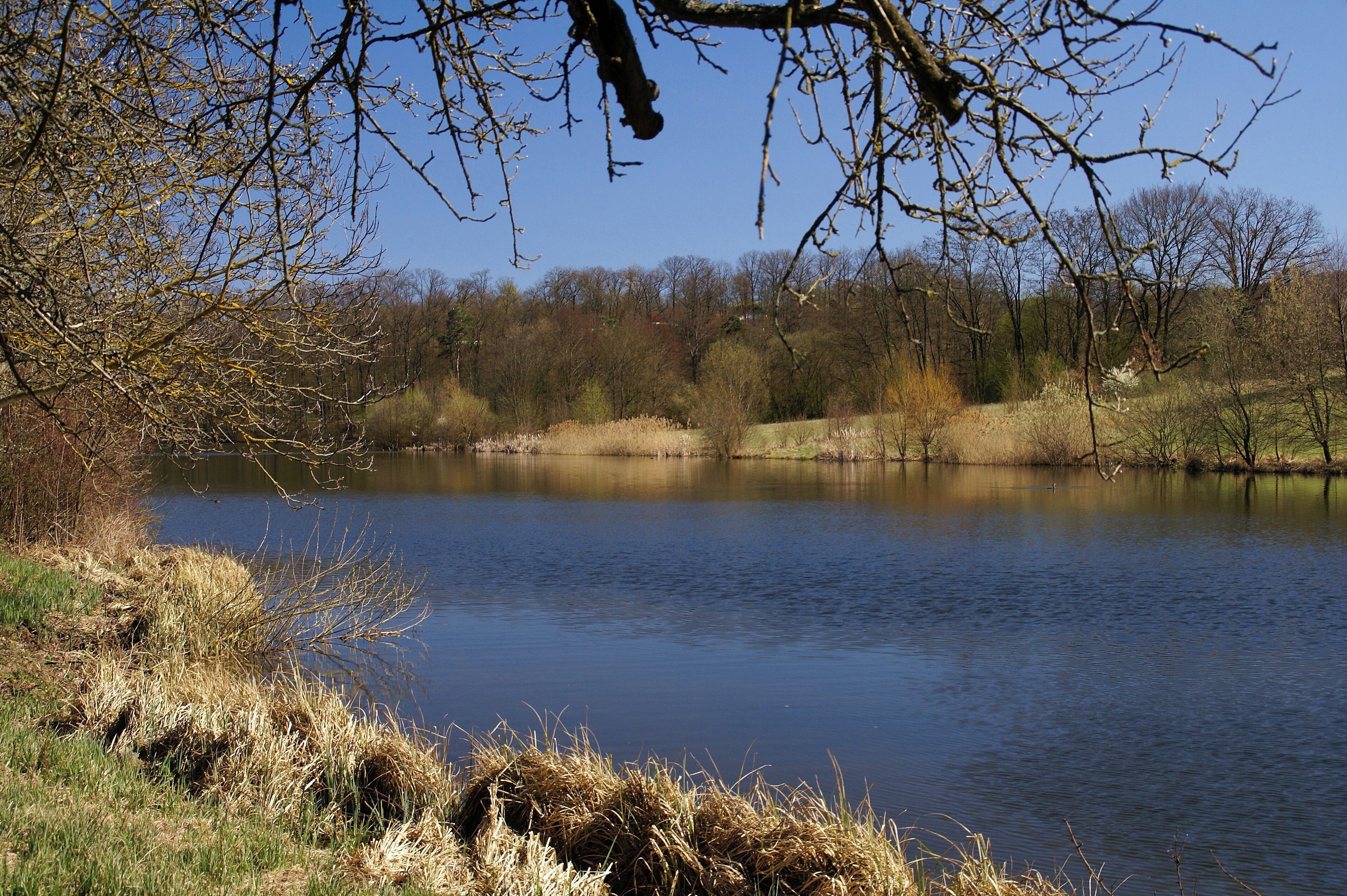 Ementsklinge 04/2012