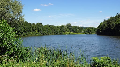 Zaberfeld, Michelbachsee 07/2015