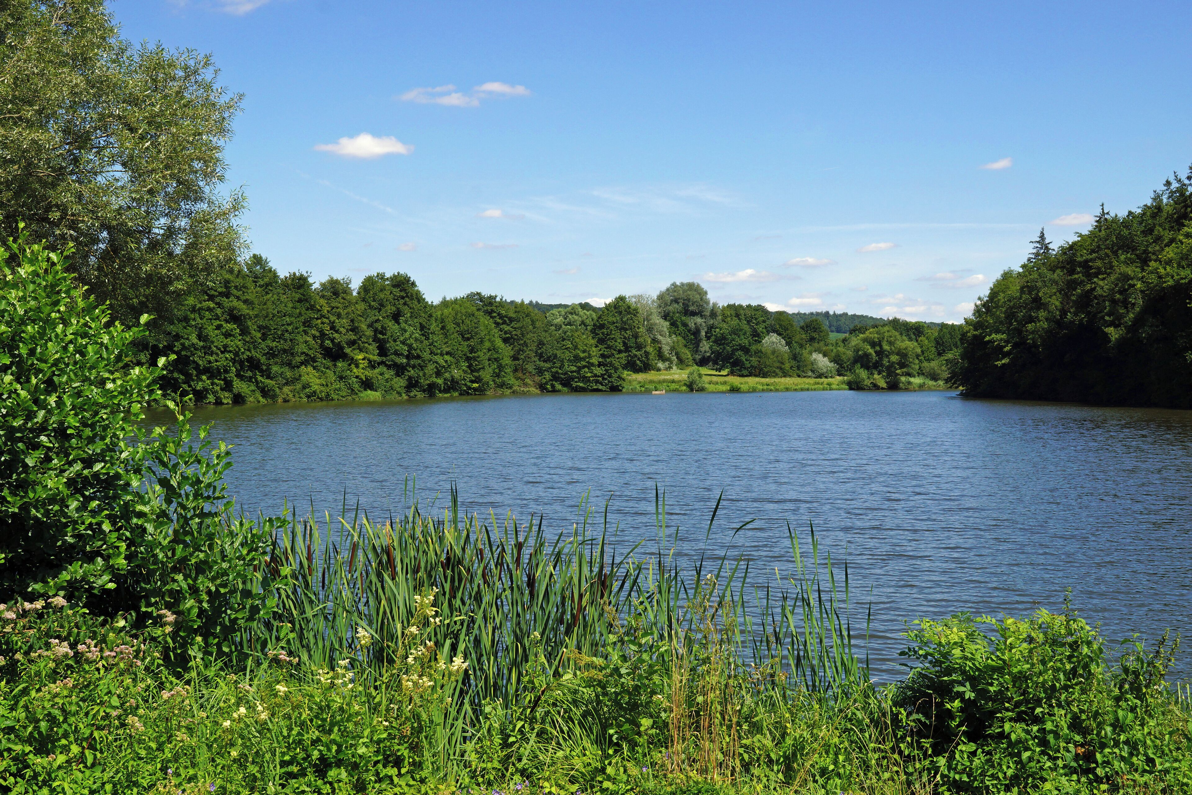 A calm lake surrounded by dense green trees and vegetation.