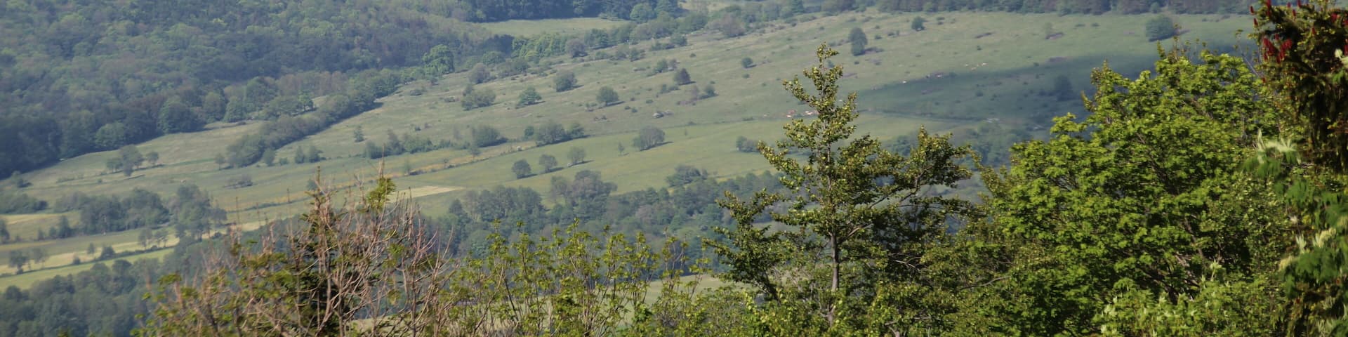 Blick vom Bereich zwischen Parkplatz Moorwiese und dem Mathesberg nordostwärts zur Ortschaft Birx und dem Schnitzersberg mit Sendemast
