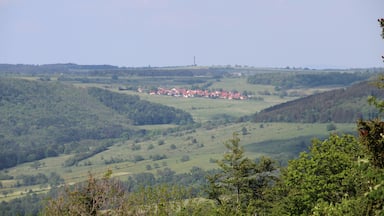 A rural landscape with rolling hills, a small village with red-roofed houses, and a distant communication tower.