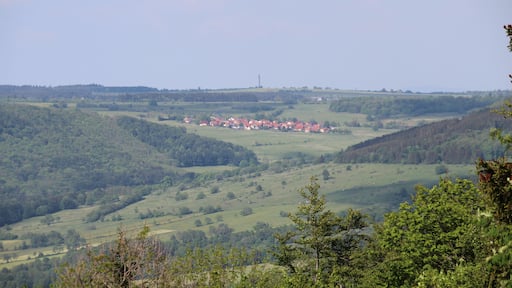 Blick vom Bereich zwischen Parkplatz Moorwiese und dem Mathesberg nordostwärts zur Ortschaft Birx und dem Schnitzersberg mit Sendemast