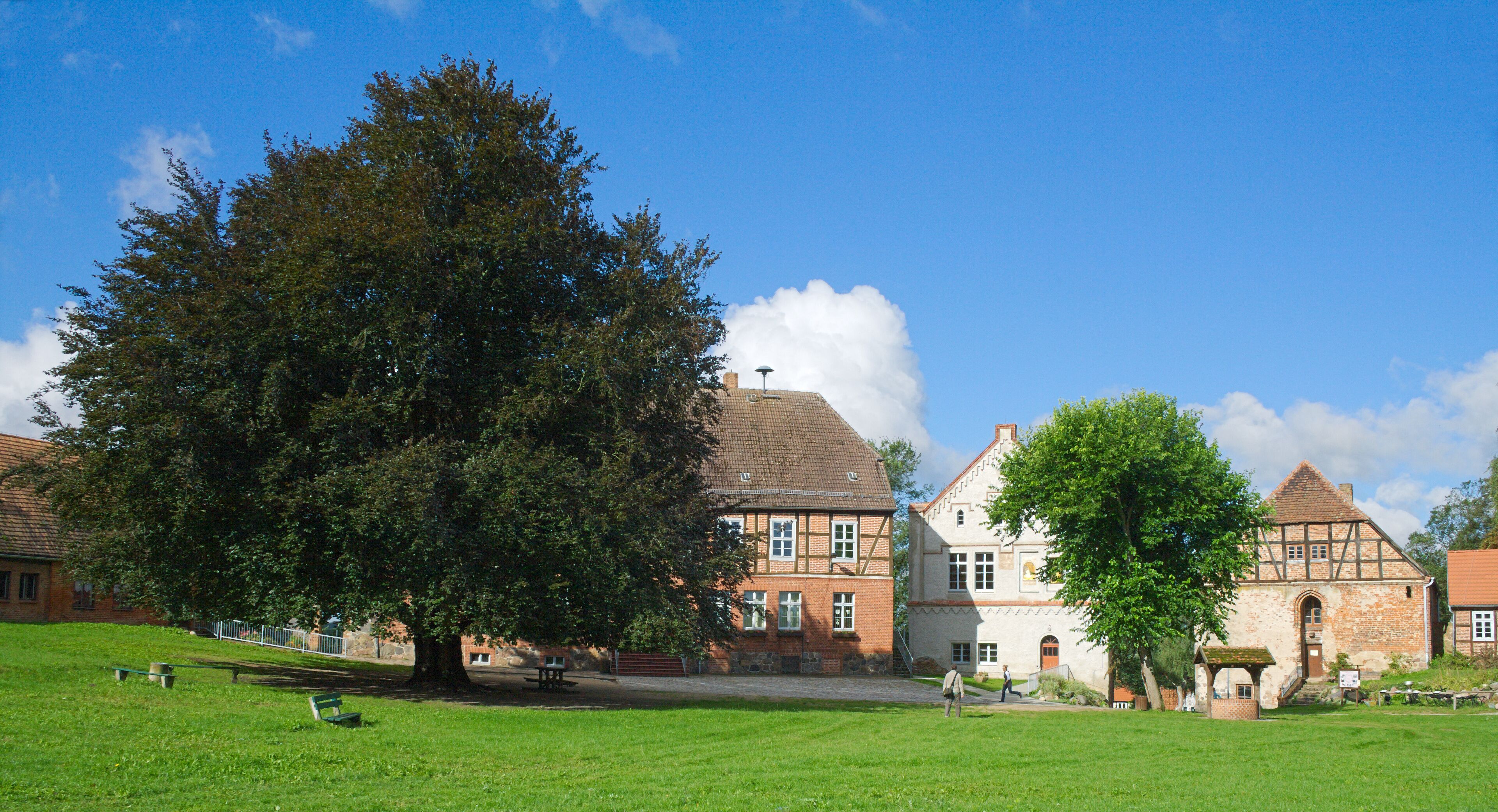 A historic building with a large tree in front, a grassy field, and a clear blue sky.