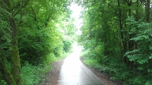 Radweg: Rund um den Wölfersheimer See