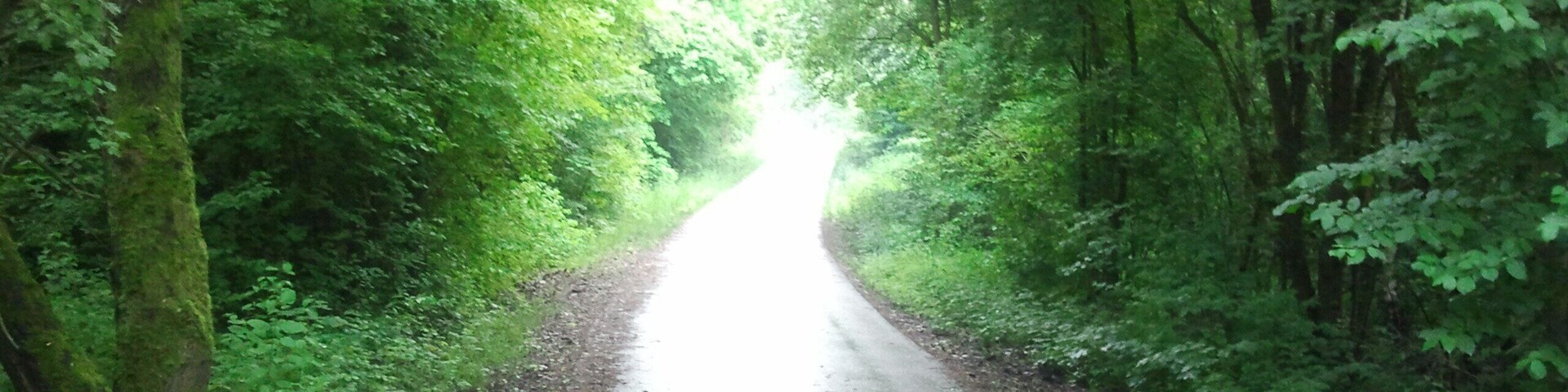 Radweg: Rund um den Wölfersheimer See