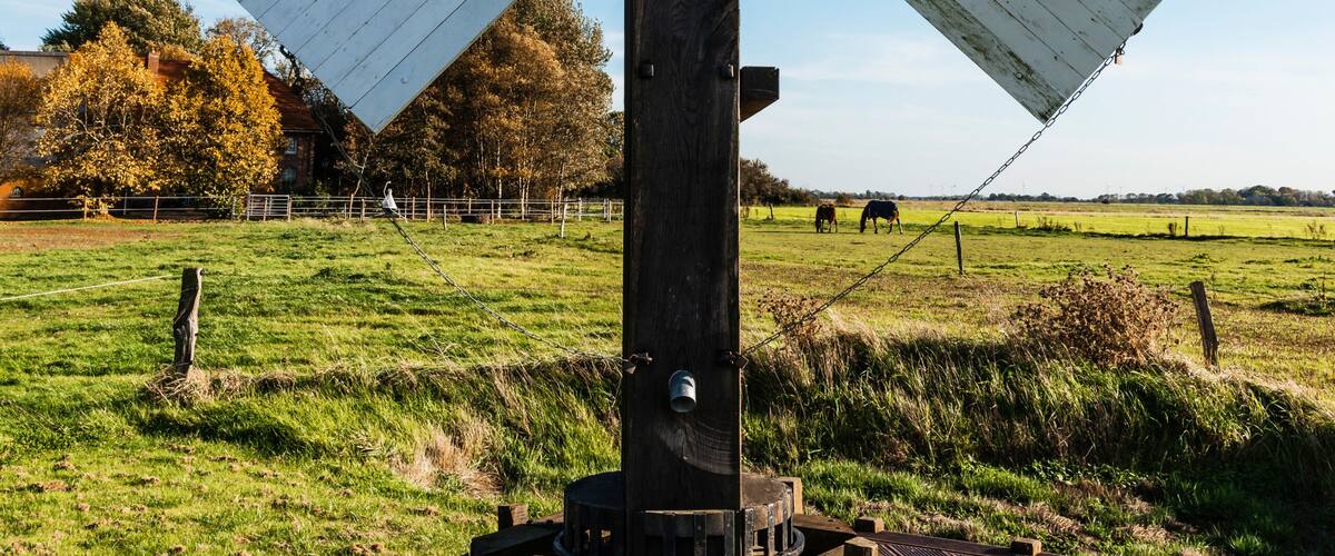 A large white windmill with a black base, set in a grassy field with a clear blue sky.