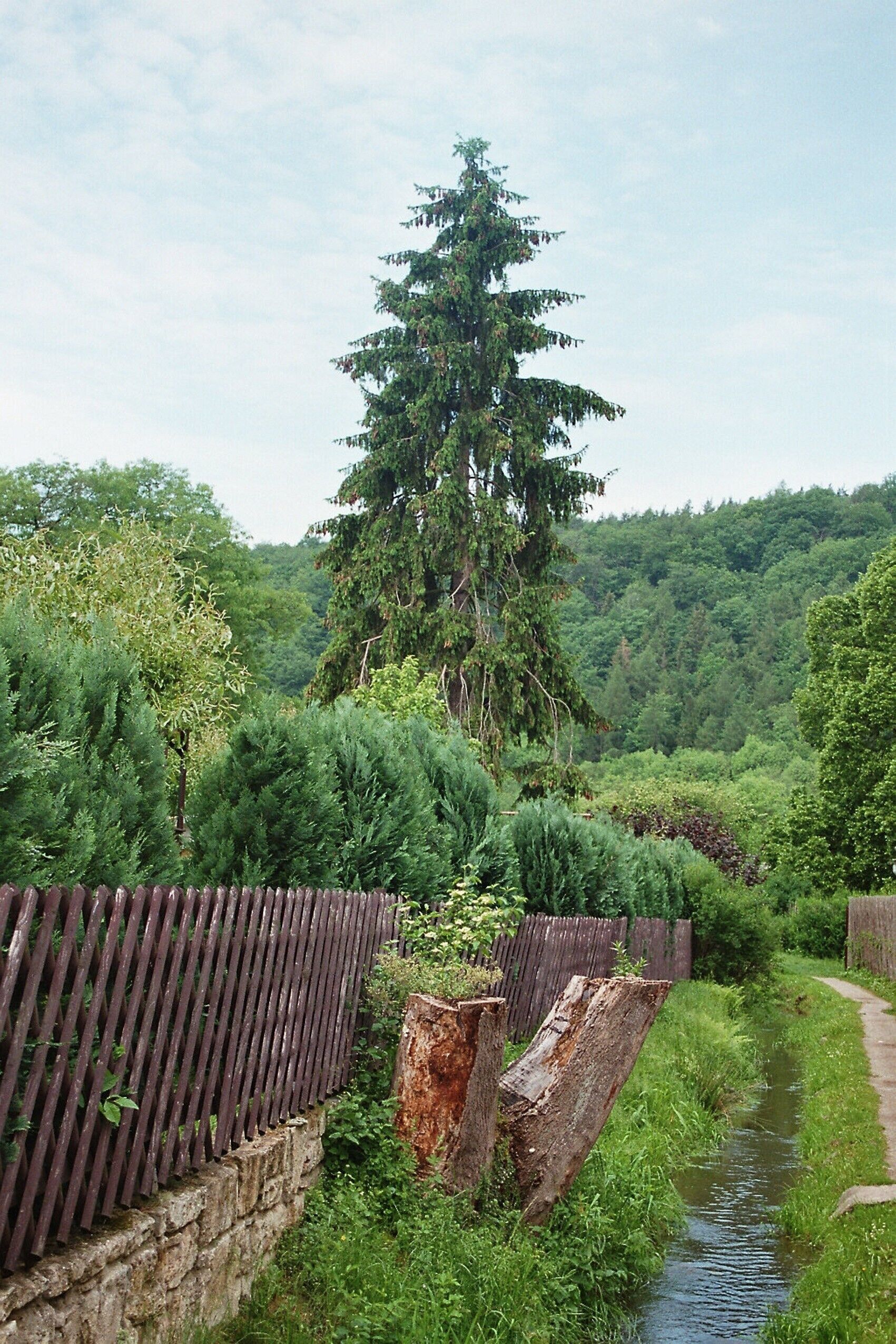 Wippra (Sangerhausen), the millrace