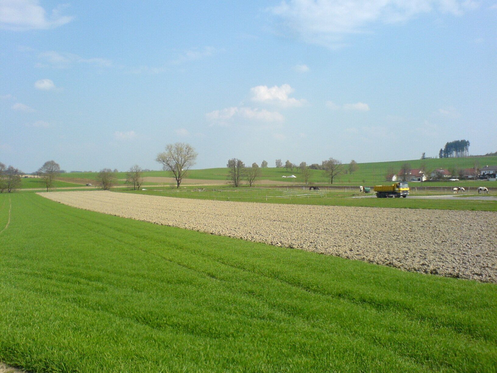 A rural landscape with a gravel path, green fields, and a yellow truck.