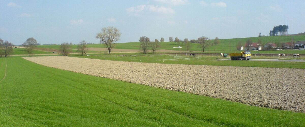 A rural landscape with a gravel path, green fields, and a yellow truck.