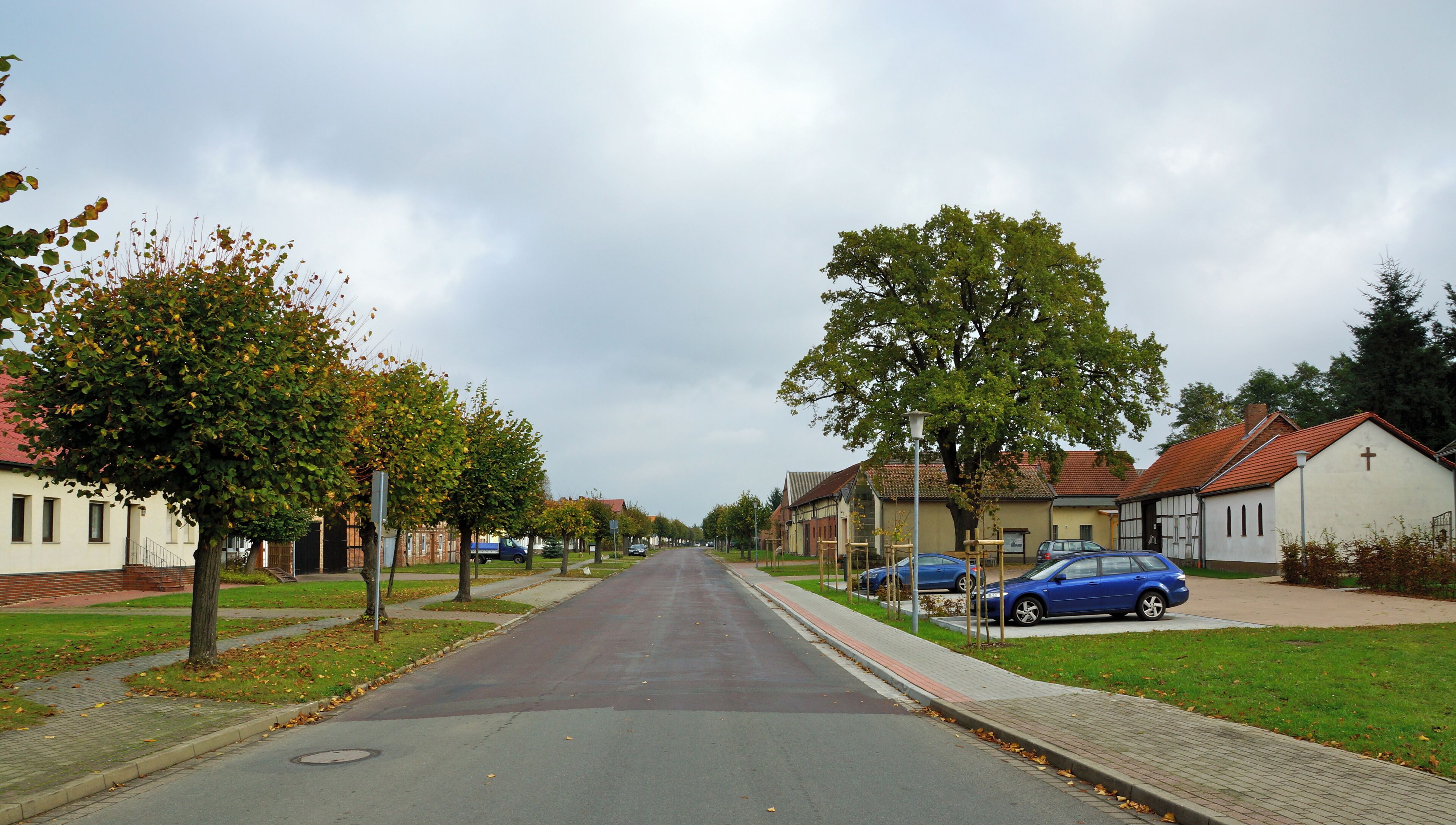 A quiet suburban street lined with trees and houses.