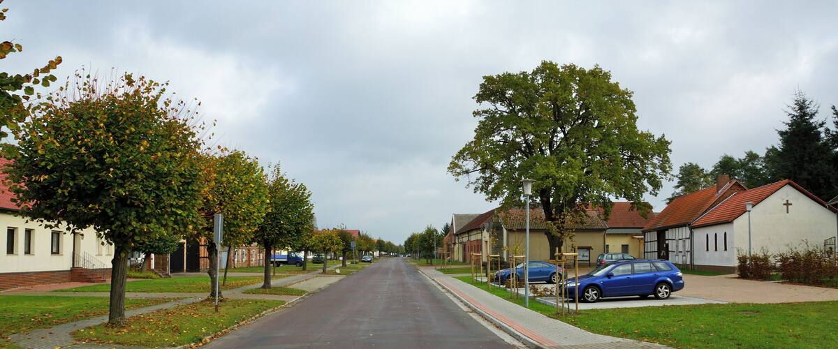 A quiet suburban street lined with trees and houses.