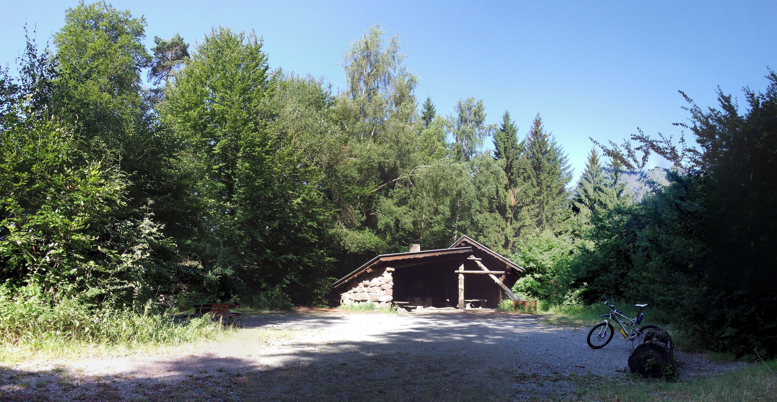 A rustic cabin surrounded by dense forest.
