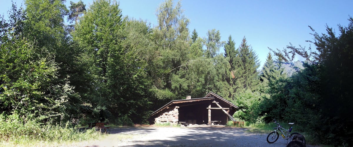 A rustic cabin surrounded by dense forest.