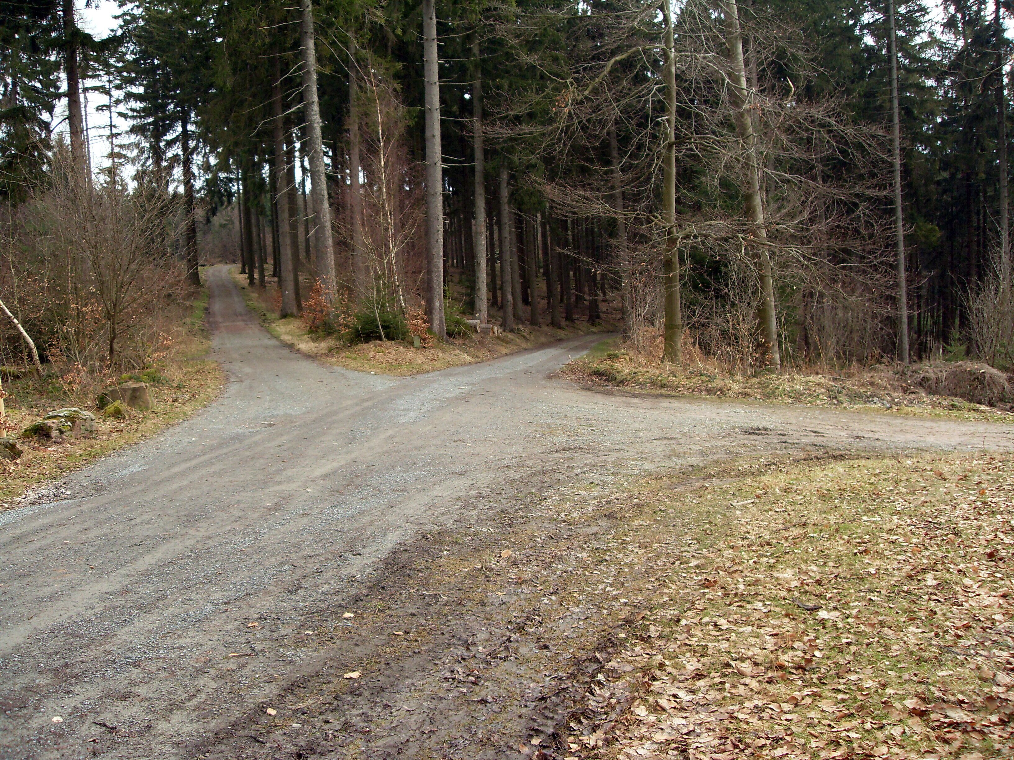 Teltschikturm in Wilhelmsfeld