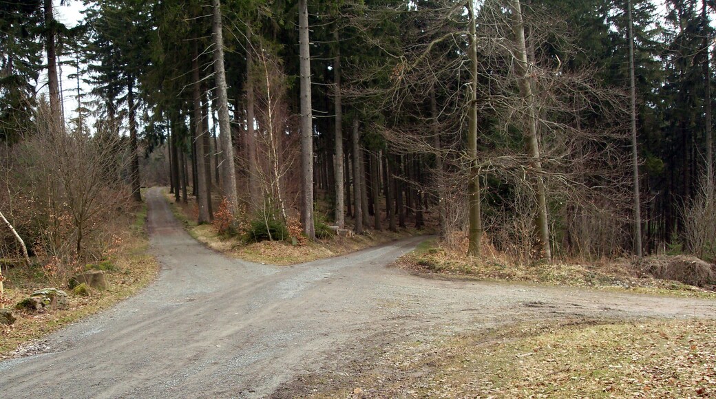 Teltschikturm in Wilhelmsfeld