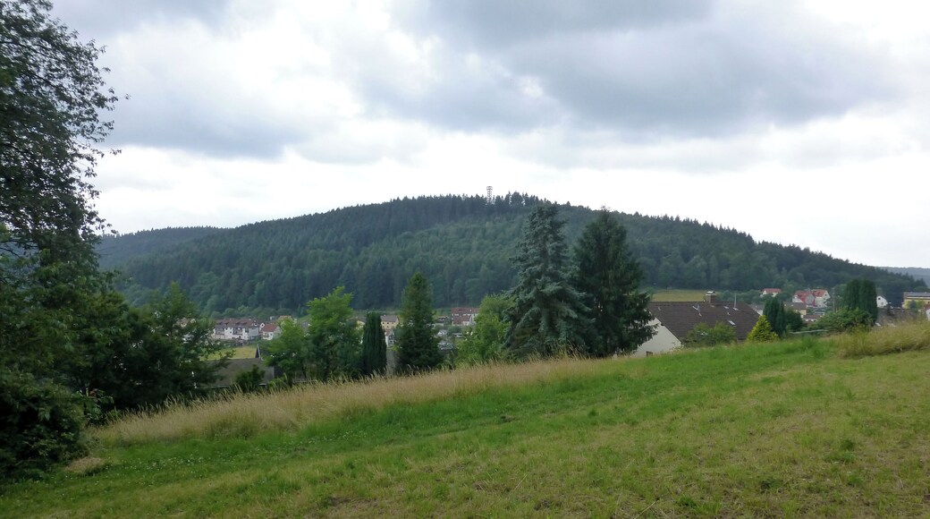 Blick von Wilhelmsfeld zum Schriesheimer Kopf