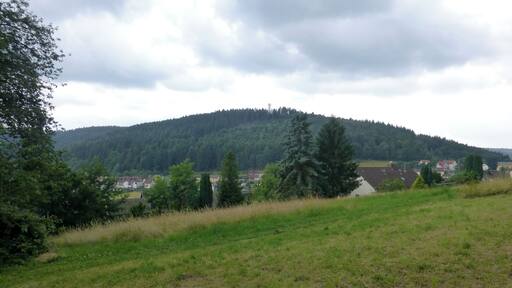 Blick von Wilhelmsfeld zum Schriesheimer Kopf