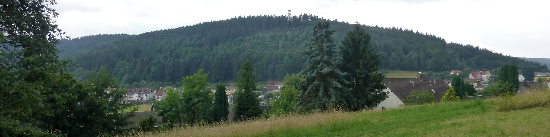 Blick von Wilhelmsfeld zum Schriesheimer Kopf
