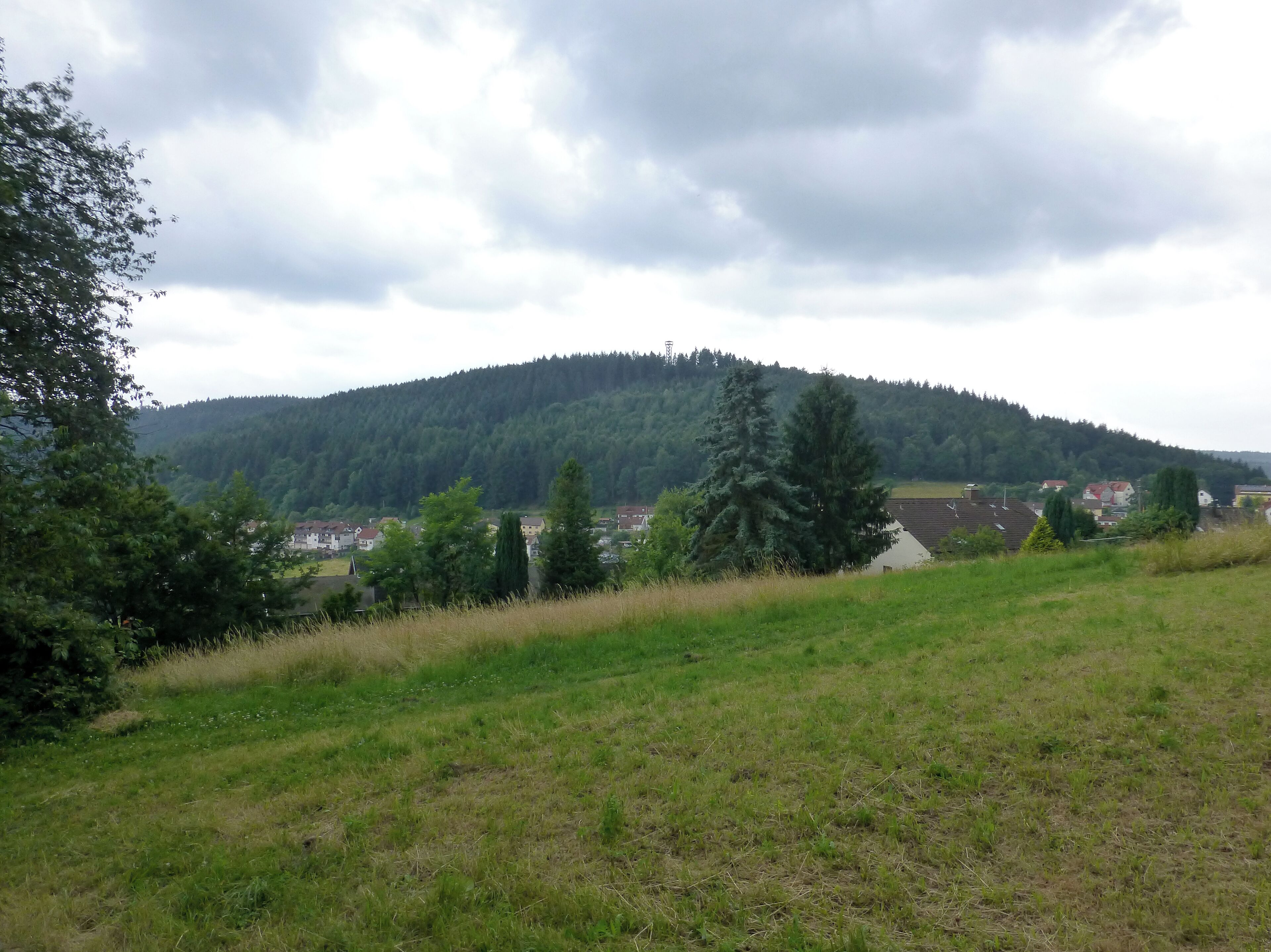 A green hillside with a village in the valley below.