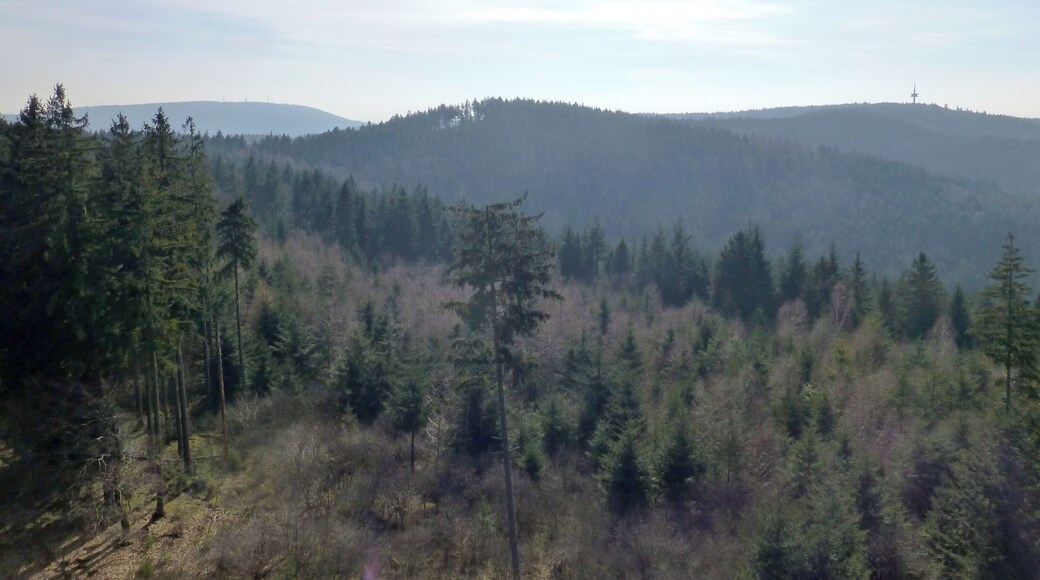 Blick vom Teltschikturm zum Dossenheimer Kopf