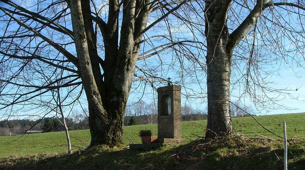 Feldkreuz, Wildpoldsried