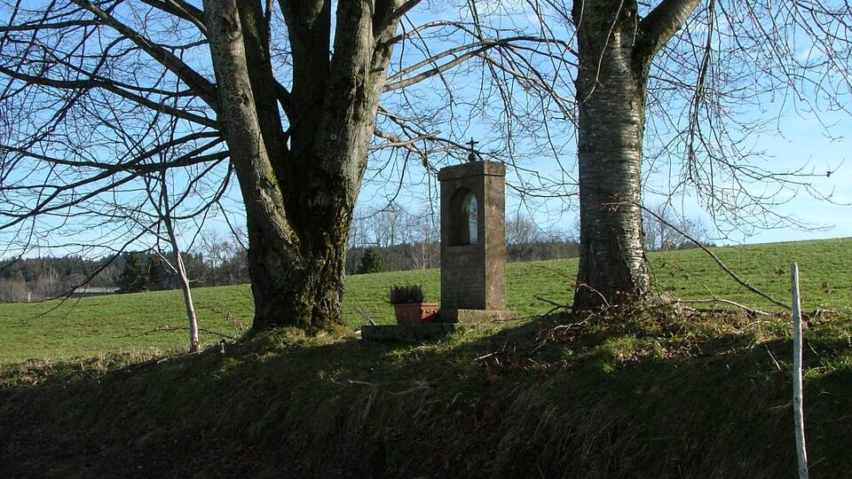 A rural landscape with a large tree, a small stone structure, and a grassy field.
