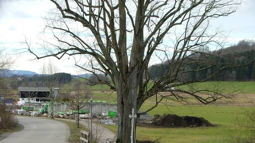 Unter der Esche, Wildpoldsried