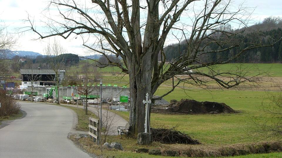 A rural road curving through a landscape with a large tree on the right, a construction site in the distance, and a grassy field.