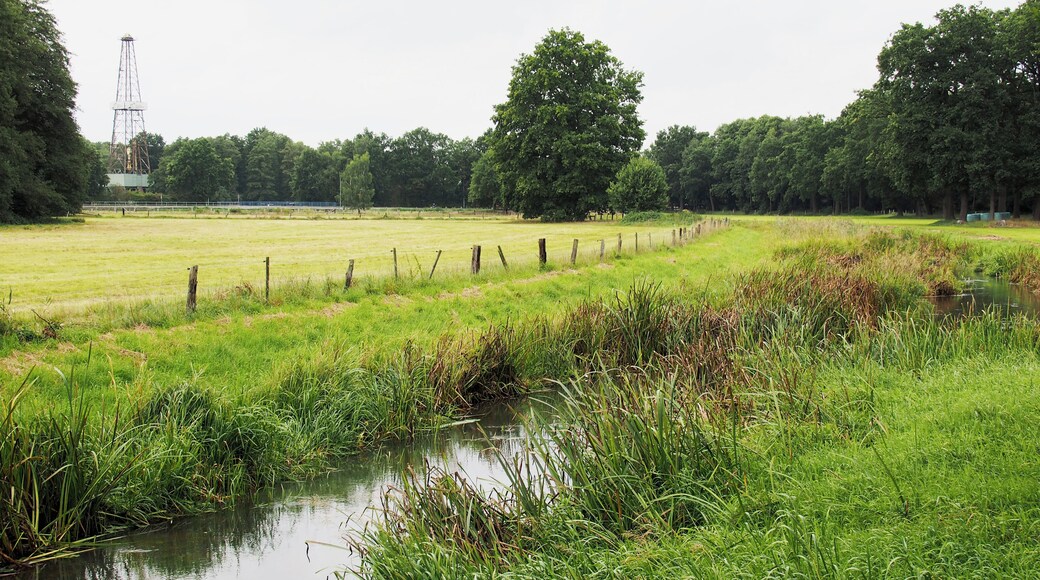 Verlauf der Wietze (Aller) im Ort Wietze (Niedersachsen)
