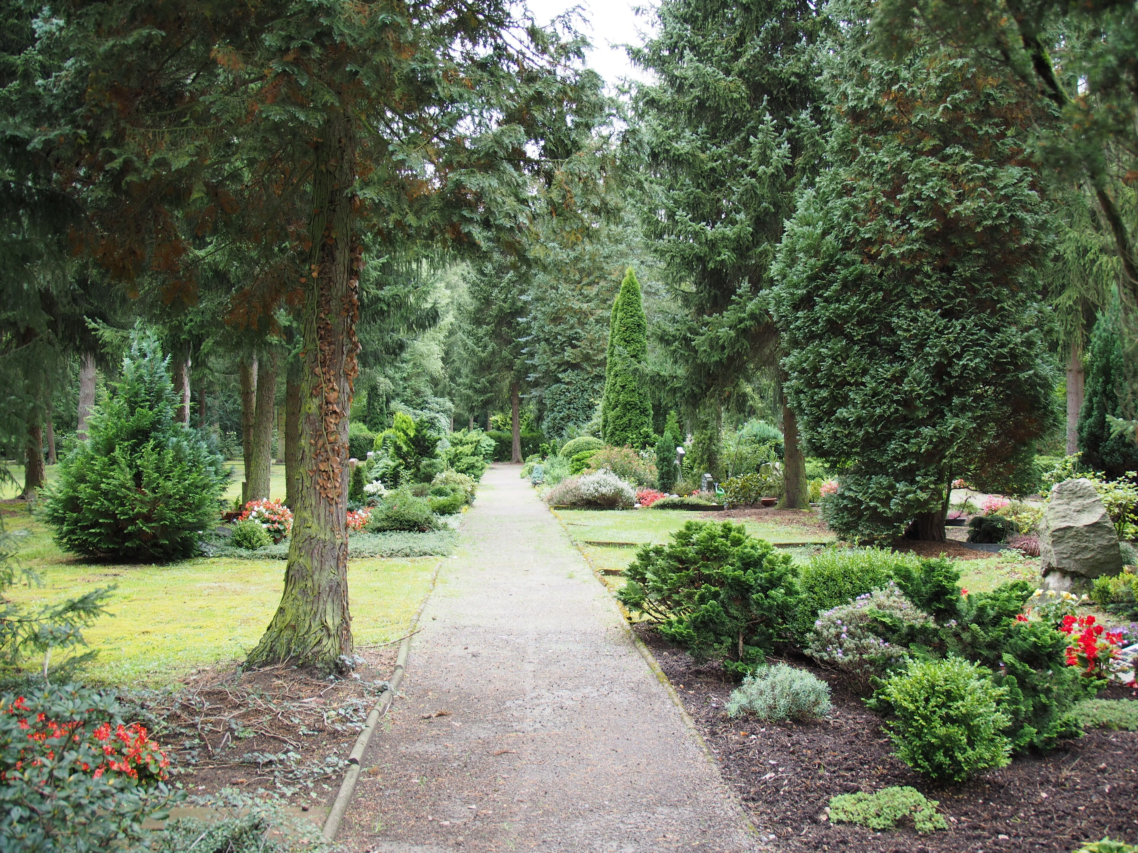 Neuer Wald-Friedhof am Pastor-Isenberg-Weg in Wietze (Niedersachsen)