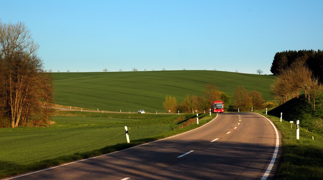 Landstrasse 532 (Rhein-Neckar-Kreis)