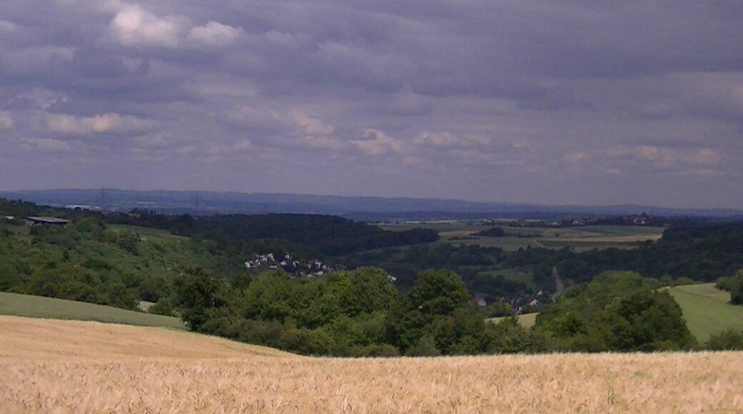 Aussicht Wiernsheim / Serres