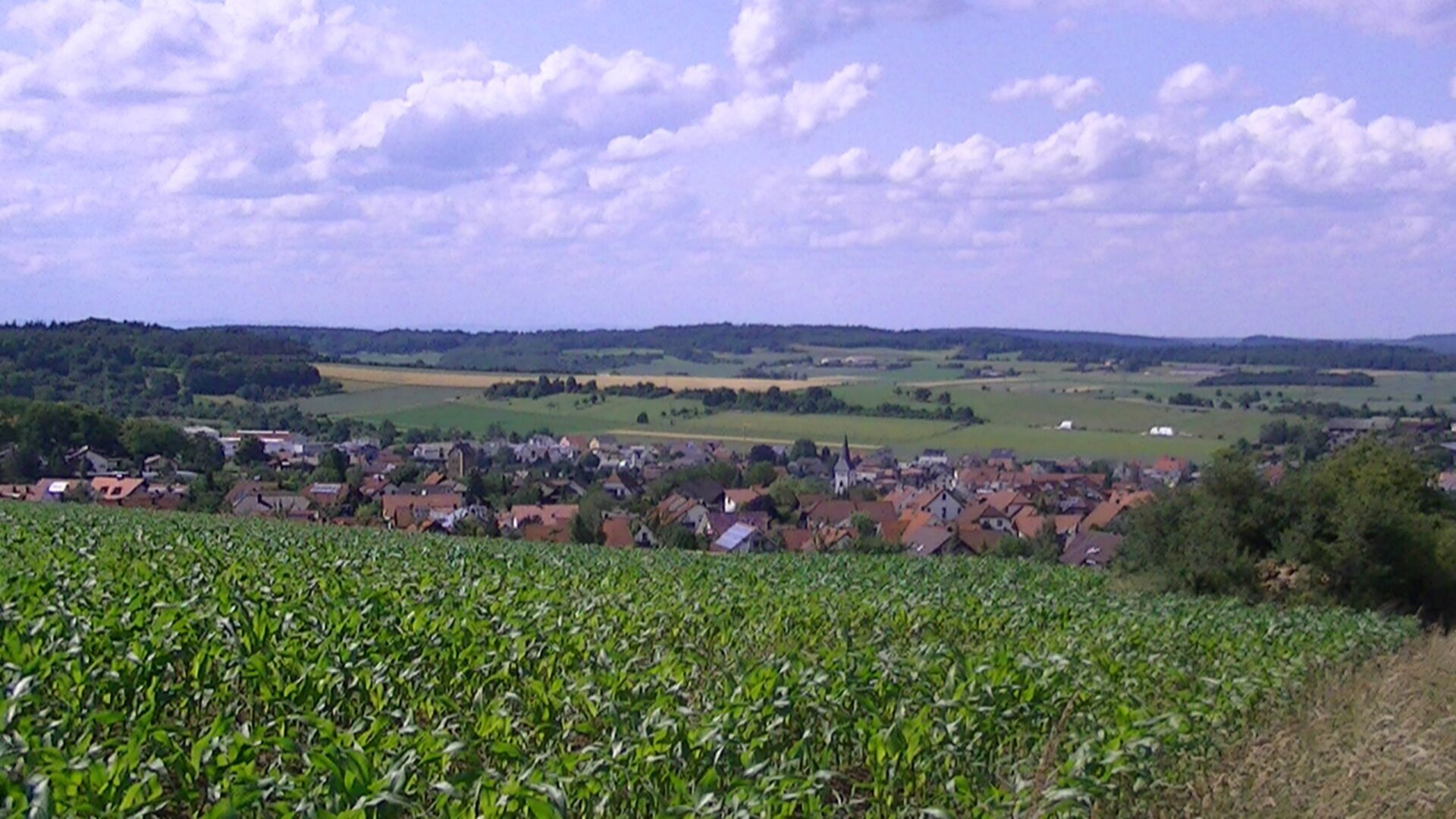 Aussicht Wiernsheim / Serres