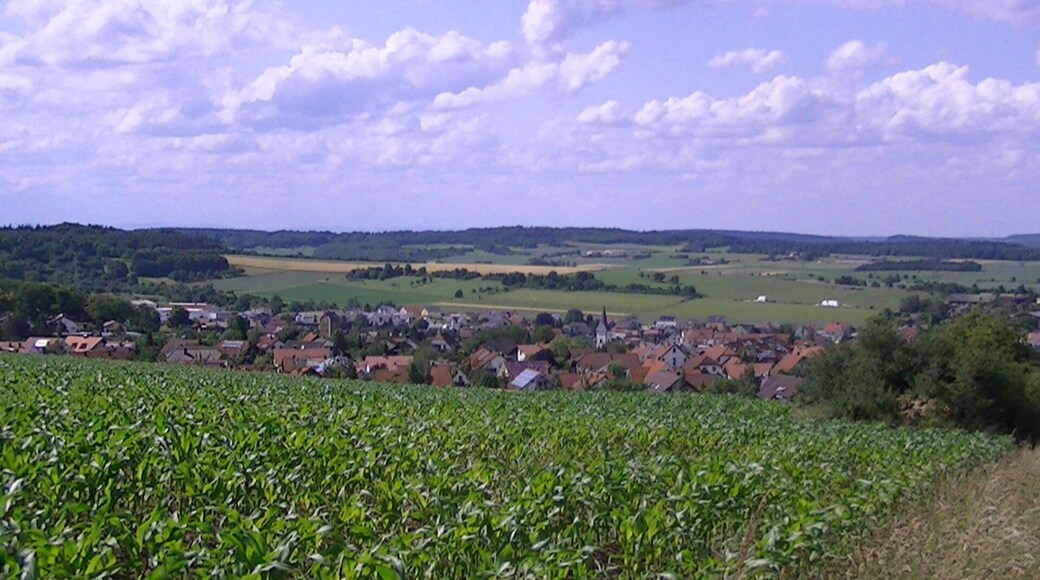 Aussicht Wiernsheim / Serres