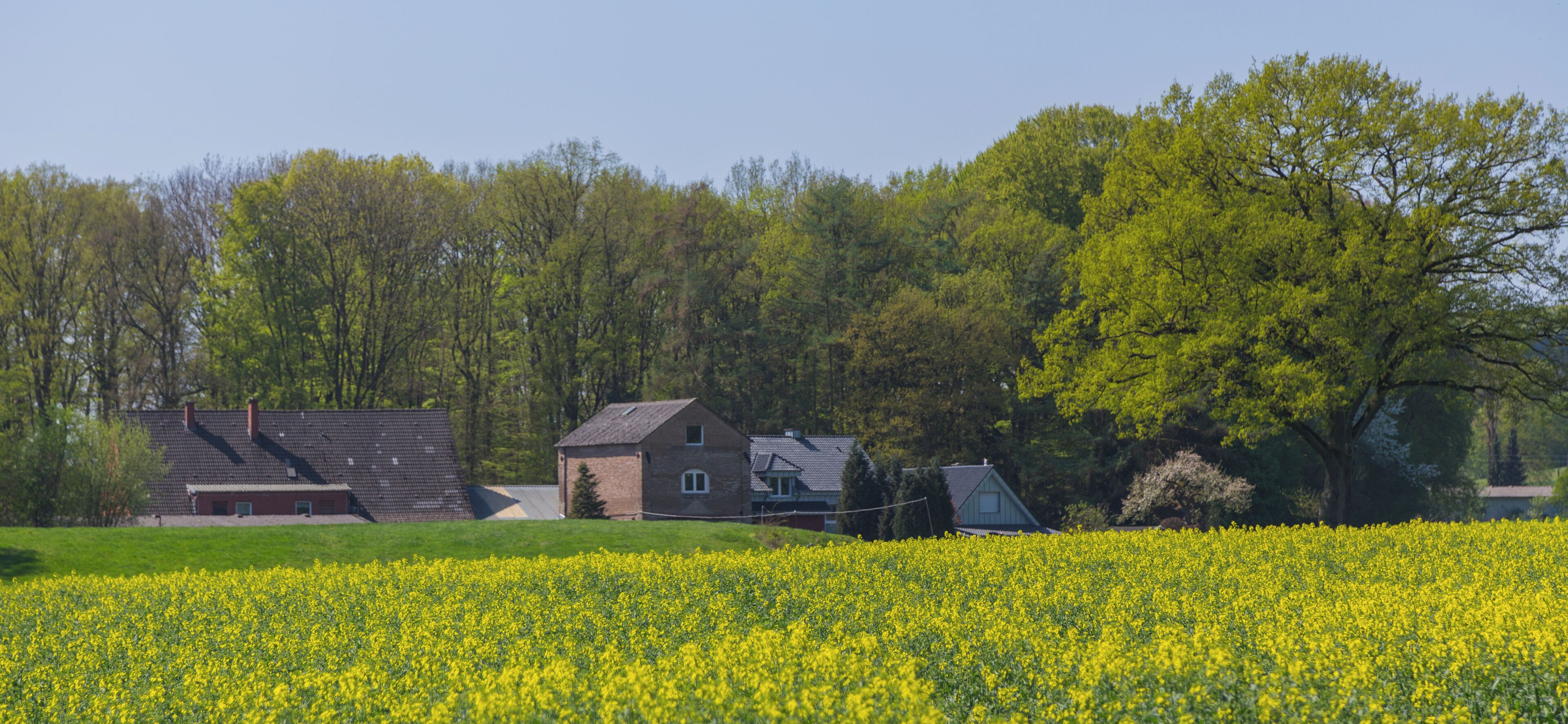 This is a picture of the protected area listed at WDPA under the ID