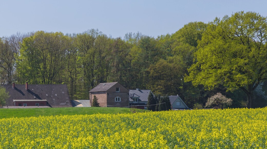 This is a picture of the protected area listed at WDPA under the ID