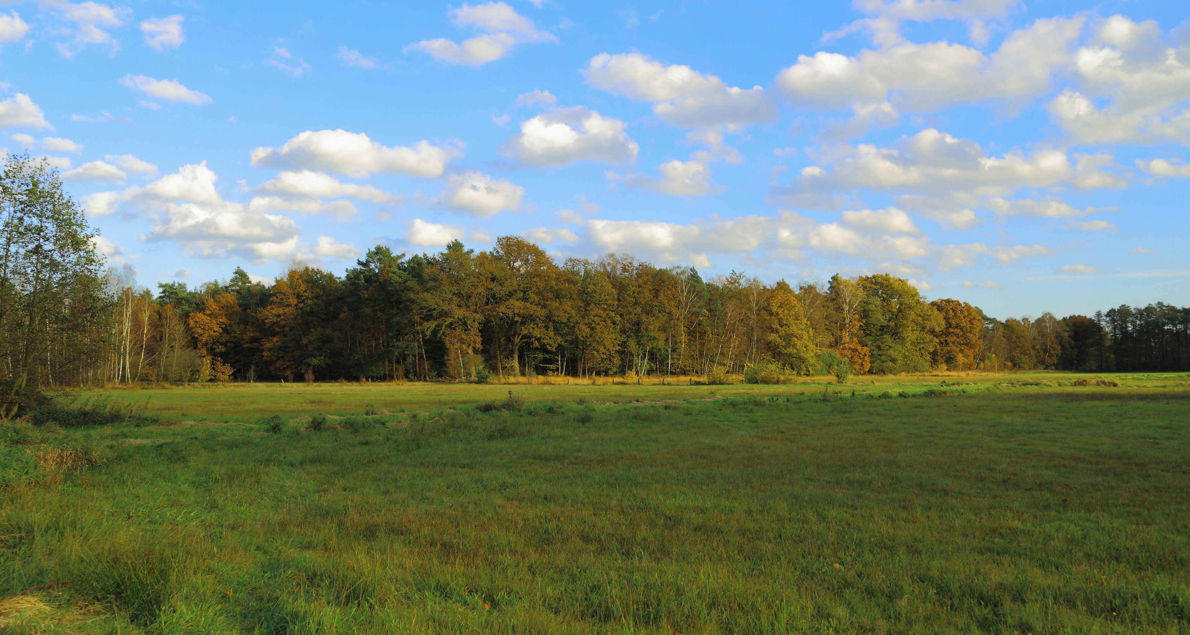 This is a picture of the protected area listed at WDPA under the ID