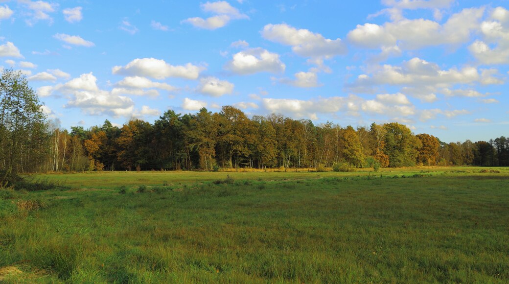 This is a picture of the protected area listed at WDPA under the ID