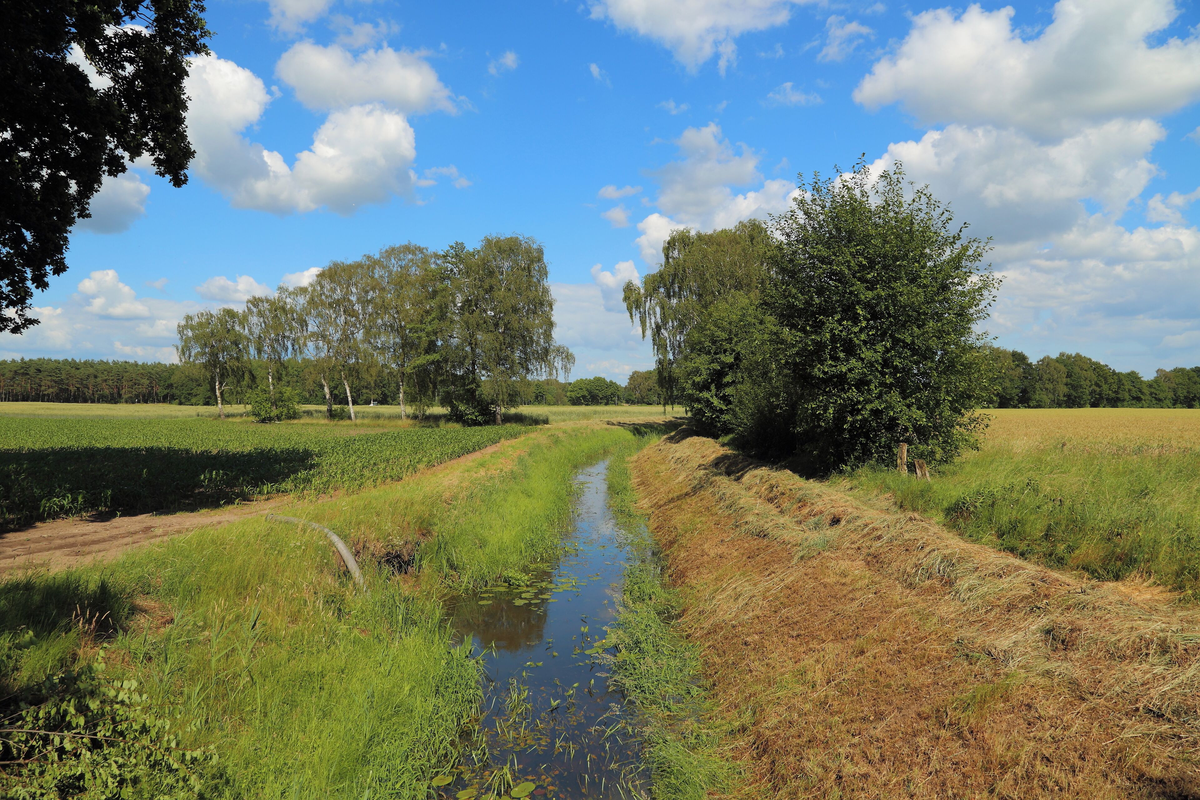 This is a picture of the protected area listed at WDPA under the ID