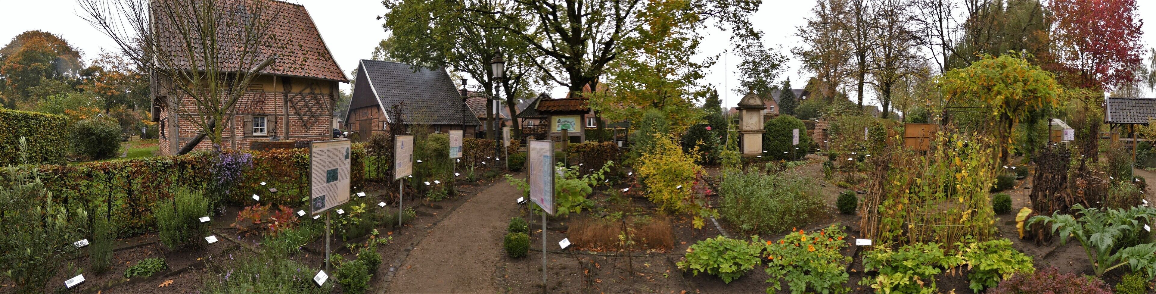 A garden with various plants and a pathway.