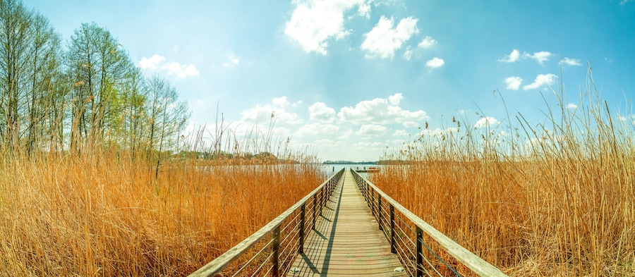 Steg am Scharmützelsee, Bad Saarow, Brandenburg, Deutschland