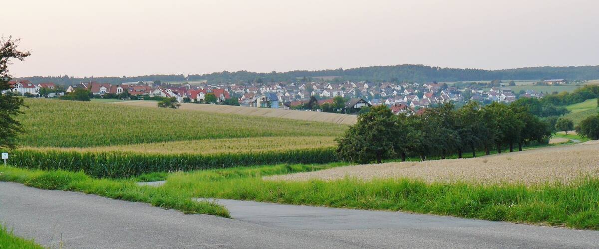 A rural landscape with fields, a road, and a village in the background.