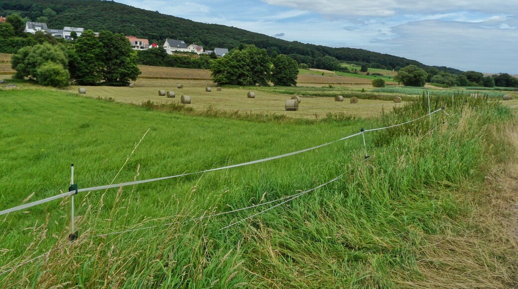 Rural area around the Western Palatinate village of Erzenhausen; in the background the "Eulenkopf" mountain (422 m height), in the front the Rischbach valley.