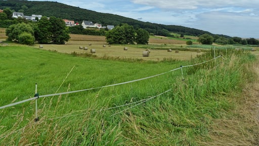 Rural area around the Western Palatinate village of Erzenhausen; in the background the "Eulenkopf" mountain (422 m height), in the front the Rischbach valley.
