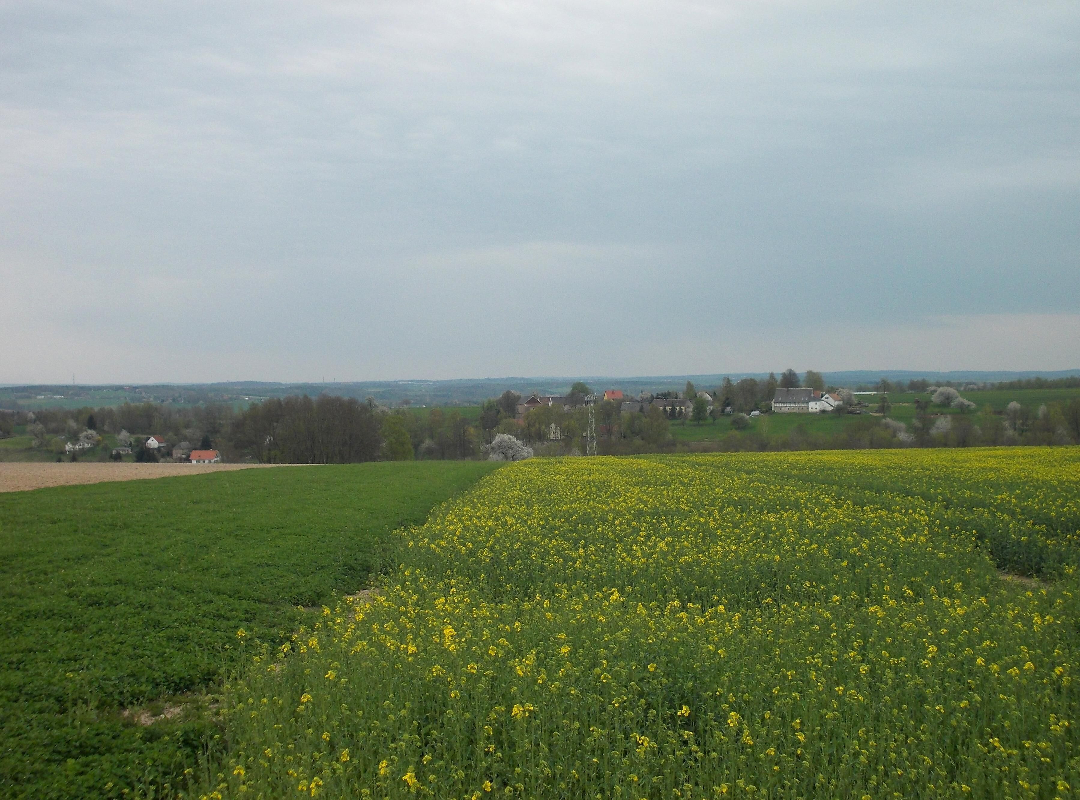 Landscape near Himmelhartha (Lunzenau, Mittelsachsen district, Saxony)