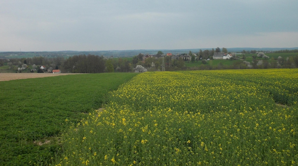 Landscape near Himmelhartha (Lunzenau, Mittelsachsen district, Saxony)