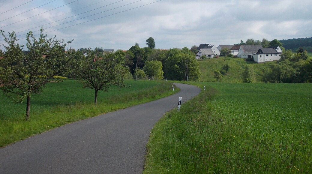 Carsdorf (Wechselburg, Mittelsachsen district, Saxony) from the south-west
