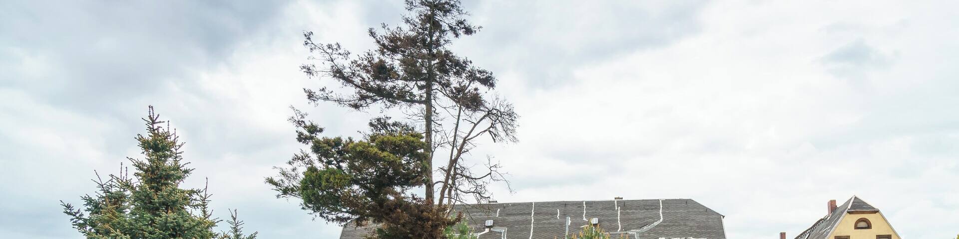 This media shows the protected monument of Saxony with the ID 08955119 KDSa/08955119(other).