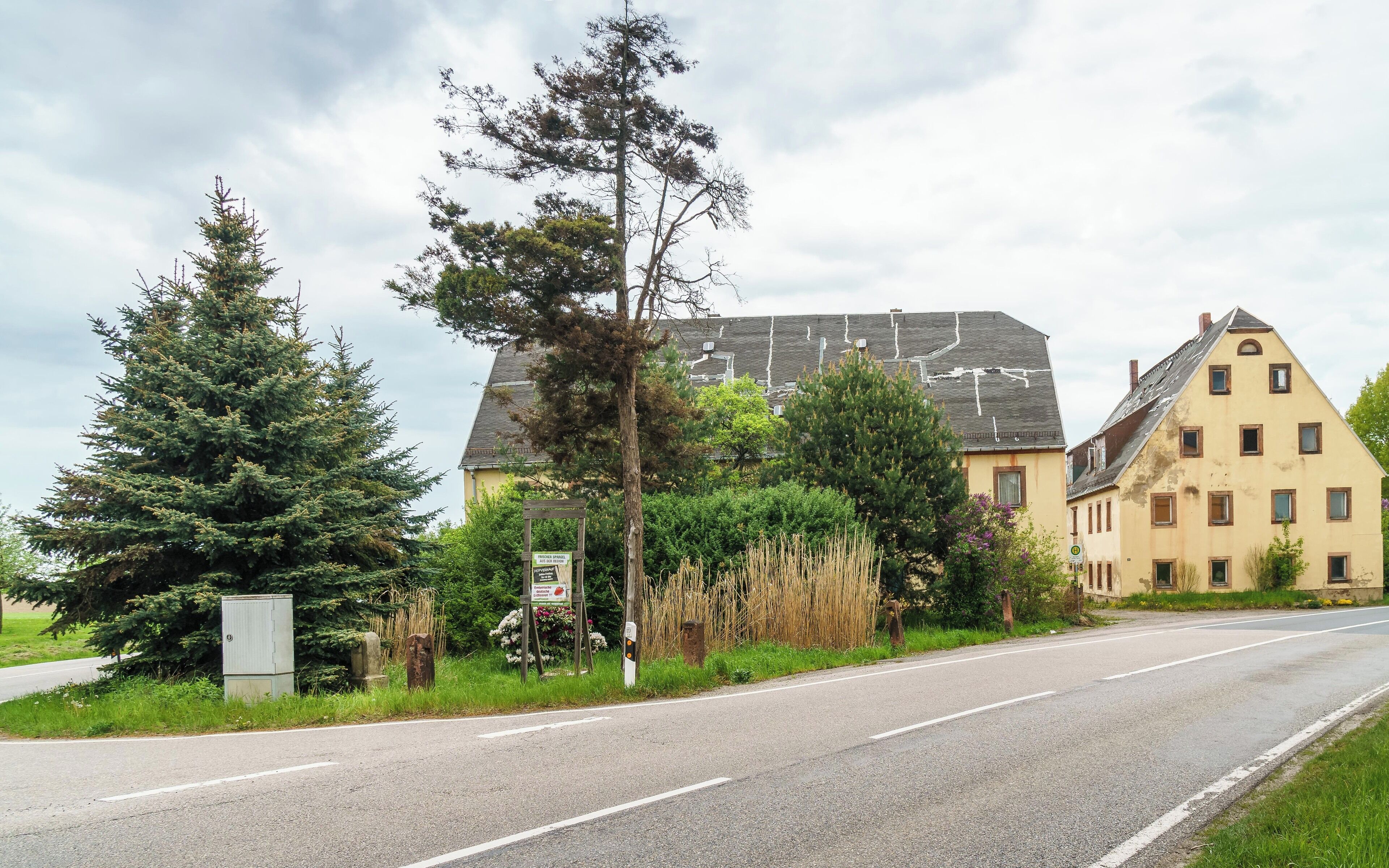 A rural road with a large house and a tall tree.